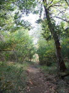 River Trail